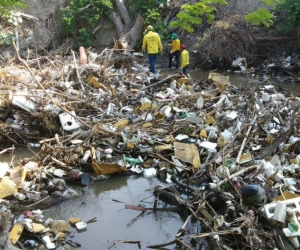 Palizada en el río Manzanares, en el sector de Villa de Alejandría.