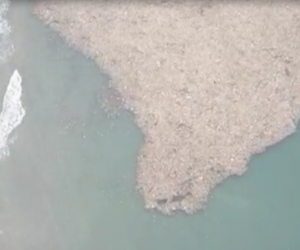 Basuras y desechos en playas de Puerto Colombia