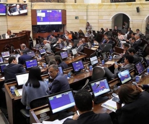 Plenaria del Senado de la República.