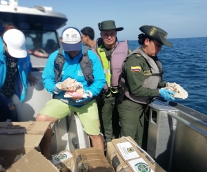 La liberación se desarrolló en el sector conocido como ‘El Morro’.