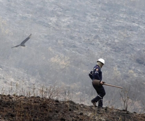 Incendio forestal en Tolima.