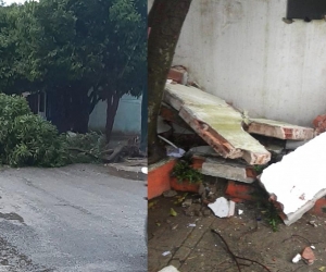  Árboles caídos y daños en la Casa de Cultura.