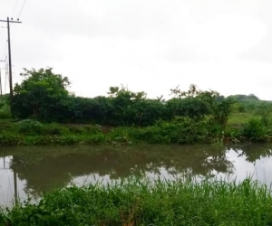 Caño de la Auyama.