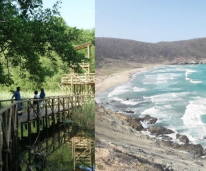 Vía Parque Isla de Salamanca y Parque Tayrona.