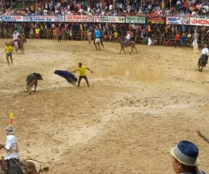 Corralejas en Sabanalarga.