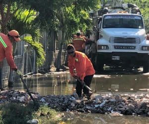 Trabajos en zuca