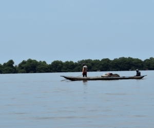 Ciénaga Grande de Santa Marta 