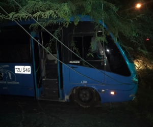 Caída de árbol sobre un bus en El Rodadero. 