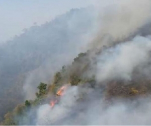 Incendios en Tigrera.