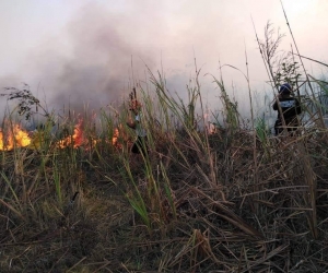 En  Magdalena se han presentado 36 incendios forestales en 2020, 18 de estos en la Sierra Nevada.