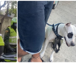 Policías le impusieron multa al joven por sacar a su perro a hacer necesidades a 2 cuadras de su casa.