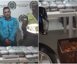 El hombre llevaba la droga escondida entre canastas de mandarina. 