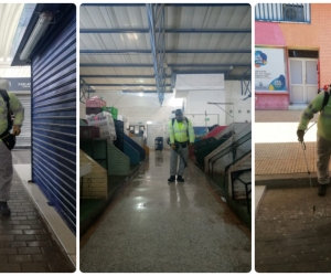 Proceso de fumigación en el Mercado Público de Santa Marta.