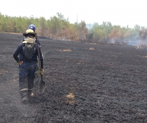 3o hectáreas de enea ha afectado el incendio.