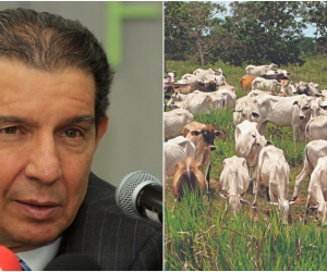El presidente de Fedegán admitió: “no se trata, entonces, de satanizar a la ganadería, sino de apoyar su reconversión con enfoque sostenible".