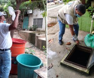 Alcaldía confirmó disminución de casos de dengue.