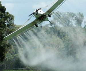 Fumigación con glifosato.