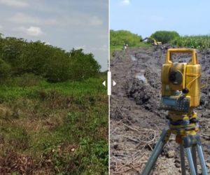 El antes y el después de Caño Ciego, en la Ciénaga Grande de Santa Marta.