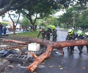 Policía trabajando en despeje de vías en Cali.