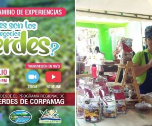 Los Negocios Verdes ganan cada vez más espacio en la economía colombiana