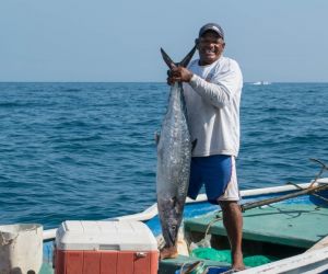 festival de la pesca