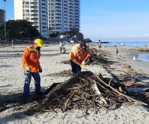 Material recolectado por la Essmar 