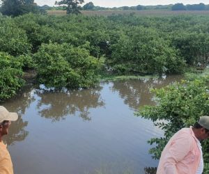 Inundaciones en cultivos en Salamina.