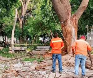 El Dadsa anunció acciones de compensación.