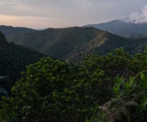 Aunque Colombia no es el mayor emisor de gases contaminantes, solo produce el 0,6 %, sí está entre los países más vulnerables a los efectos del cambio climático.