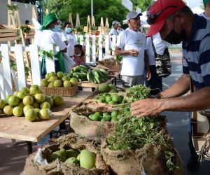 Proyecto E-Commerce ha brindado herramientas y conocimientos a 33 asociaciones campesinas.