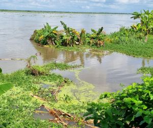 Tres fincas están bajo las aguas. 