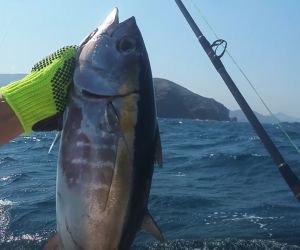 Pesca deportiva ahora será prohibida en Santa Marta. 