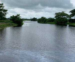 El Caño Vicente Caballero es un ramal del caño Ciego que desemboca en la Ciénaga Grande de Santa Marta.