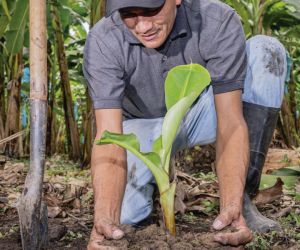 El proyecto conjunto busca además de mejorar la capacidad productiva.