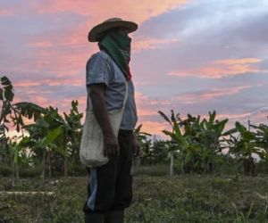 Las tierras están siendo ocupadas ilegalmente