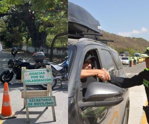 Controles de vigilancia y tránsito