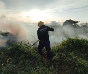 Isla Salamanca: el cuerpo de bomberos informa que está controlado el incendió  