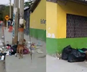 Así lucen las afueras de un colegio en Gaira. 