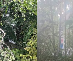 La aeronave cayó en el área de Solano, Caquetá.