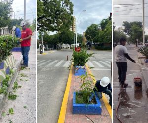 Mantenimiento y recuperación de jardineras y parques de Santa Marta