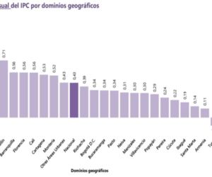 Informe del Dane