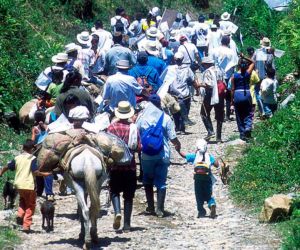 Desplazamiento forzado en Colombia