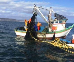 Doble titulación en ‘Acuicultura y Pesquerías Tropicales’