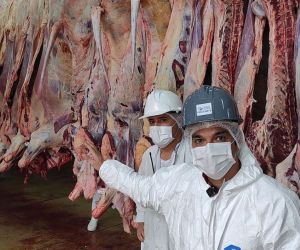 Presidente de la Asociación de Frigoríficos de Colombia afirmó que “no es cierto que abriendo mataderos vaya a bajar el precio nacional de la carne”.