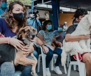 Jornadas de esterilización canina y felina