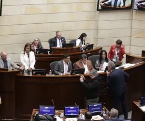 Cámara de Representantes.