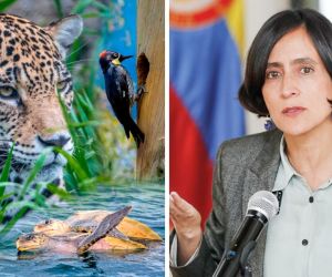 Cumbre de biodiversidad /La ministra de Ambiente, Susana Muhamad