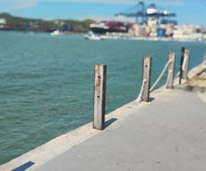 Camellón de la Bahía 