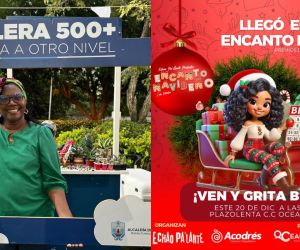 Encanto Navideño