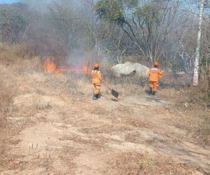 Incendios forestales en Bogotá